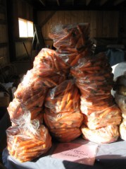 StorageShareNewsletter2012carrots