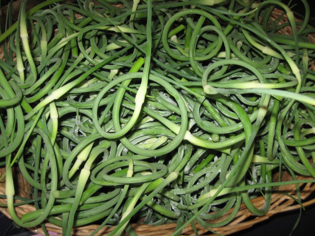 Garlic Scapes