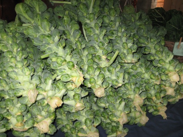 Brussel sprouts