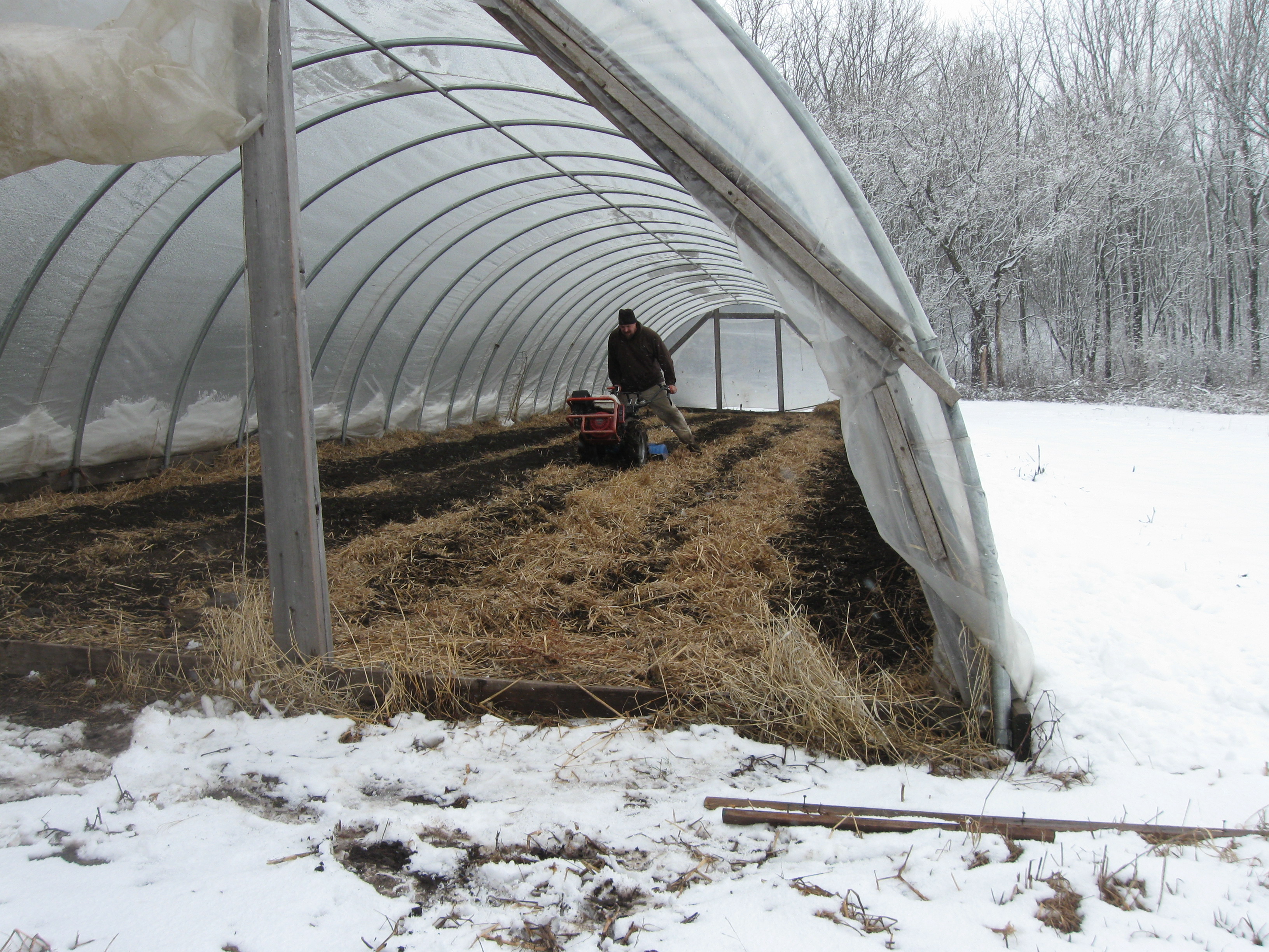 Jesse tilling hoop house
