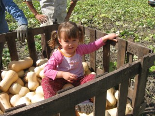 allia in glasses 045