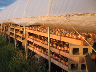 late summer 2014 030