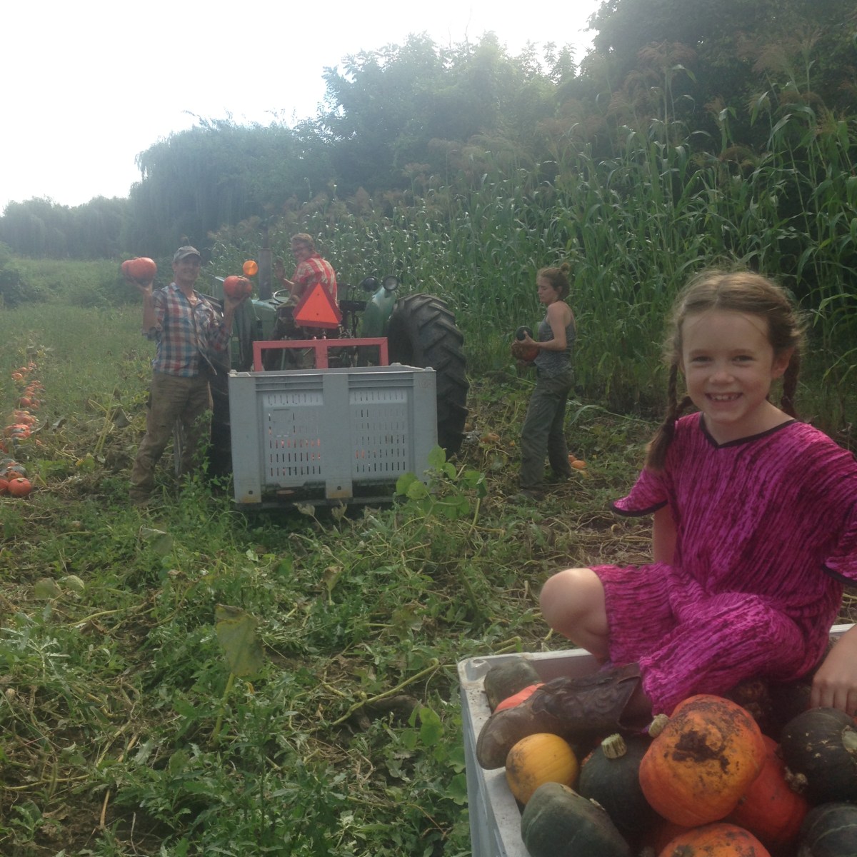 Farm News September 18,&nbsp;2018