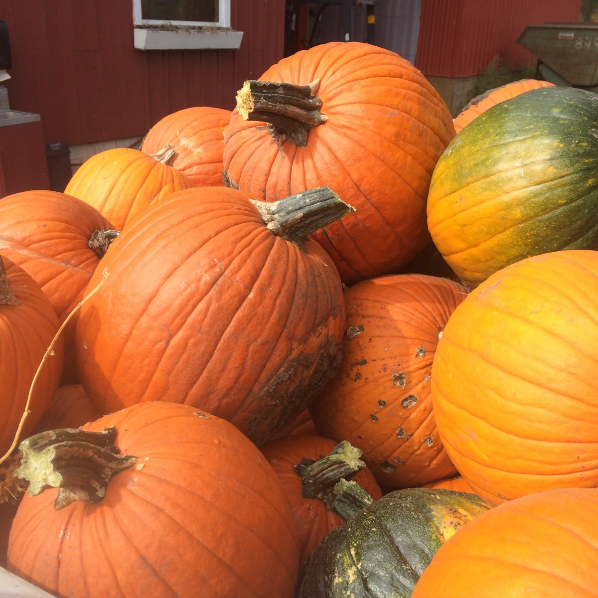 Farm Newsletter September 29,&nbsp;2020