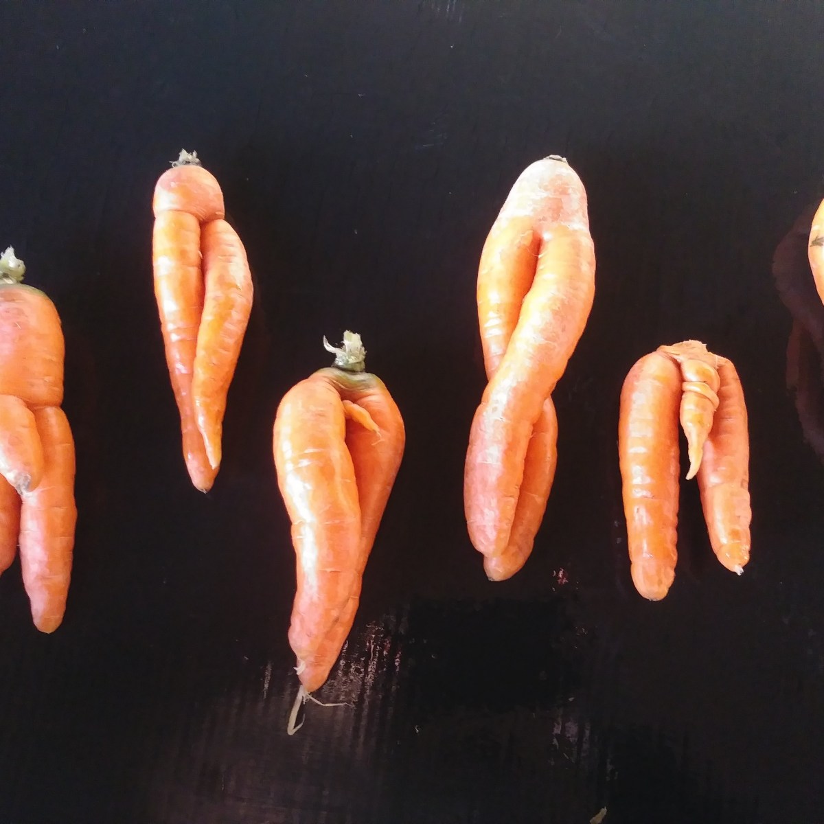 Storage Share Newsletter&nbsp;2021