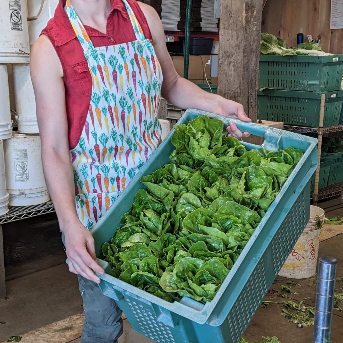 Farm Newsletter June 27,&nbsp;2023