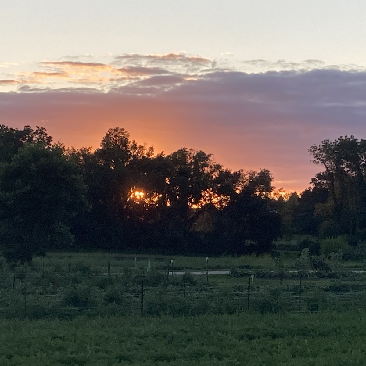 Farm Newsletter August 13,&nbsp;2024