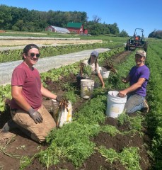 Open Hands Farm – Community Supported Agriculture
