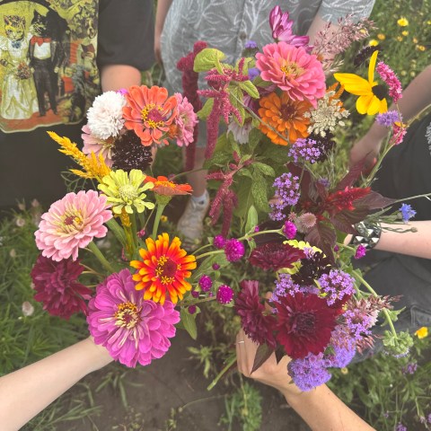 Open Hands Farm – Community Supported Agriculture