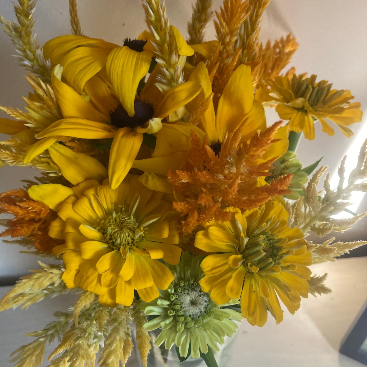 Farm Newsletter September 16,&nbsp;2025