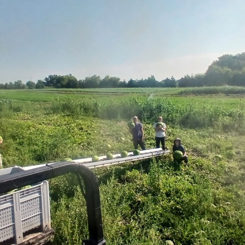 Farm Newsletter September 1,&nbsp;2026