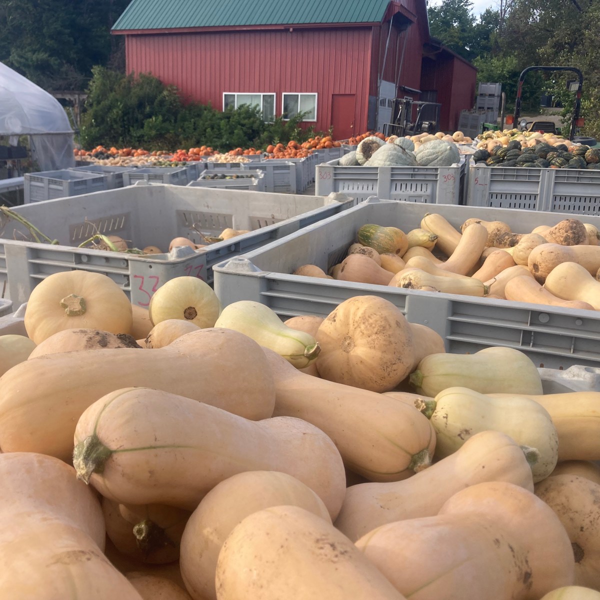 Farm Newsletter September 15,&nbsp;2026