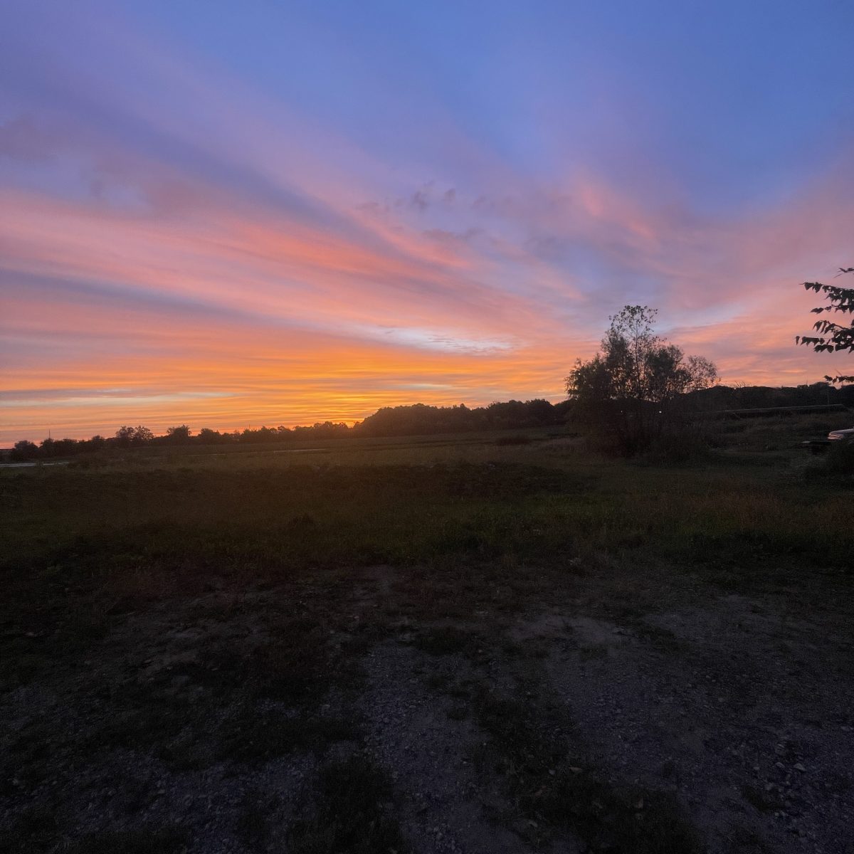 Farm Newsletter September 29,&nbsp;2026